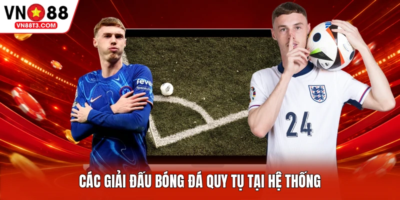 Các giải đấu bóng đá quy tụ tại hệ thống